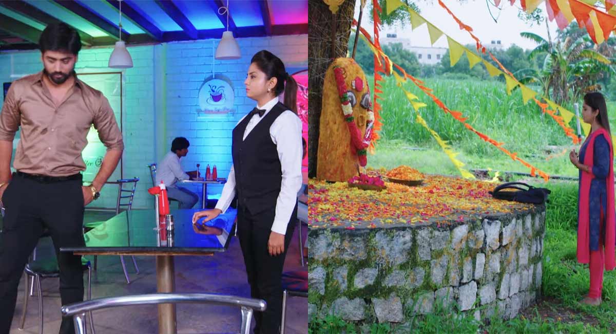 Guppedantha Manasu 9 August Today Episode 524 : రిషి సార్ తీసుకున్న నిర్ణయం మార్చకొడని తెలిసి, బాధని తట్టుకోలేక అమ్మవారి ముందు బాధను వ్యక్త పరిచిన వసుధార. Guppedantha Manasu 9 August Today Episode 524