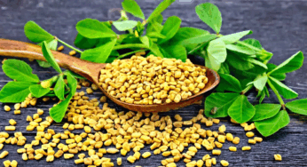 Fenugreek Health Benefits : నానబెట్టిన మెంతులను తీసుకుంటే మన శరీరానికి ఎన్ని లాభాలో..