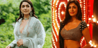 Mrunal Thakur got many big film offers in tollywood industry