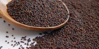 Health Benefits of Mustard seeds