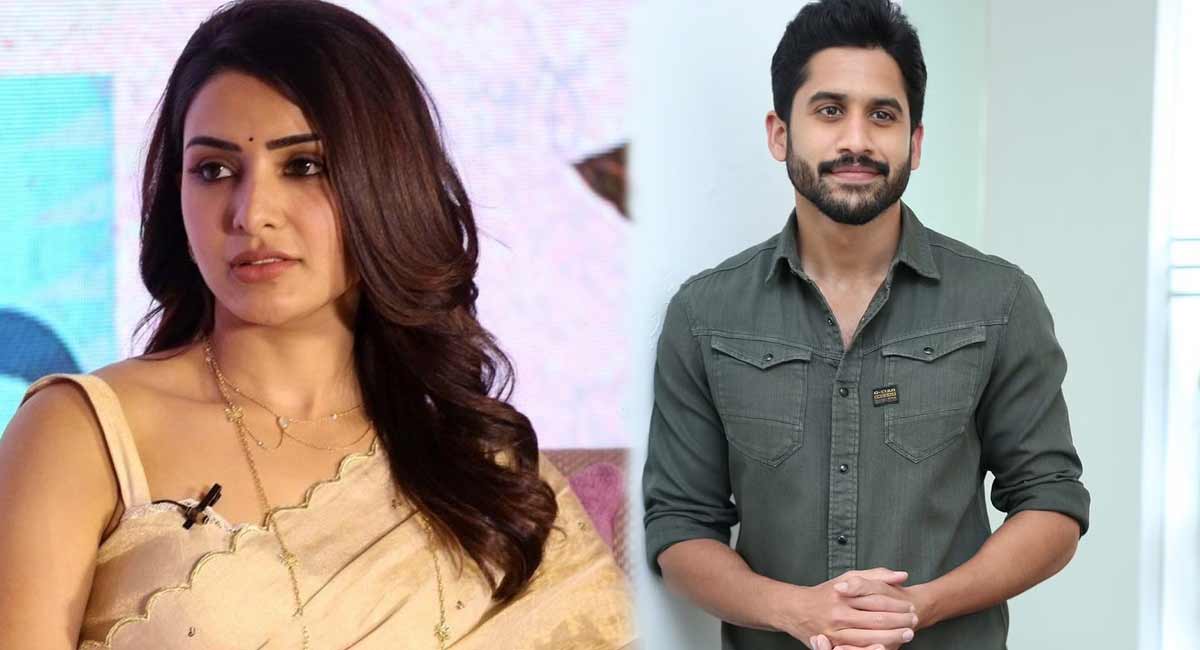 Naga Chaitanya Given clarity about diverse with samantha