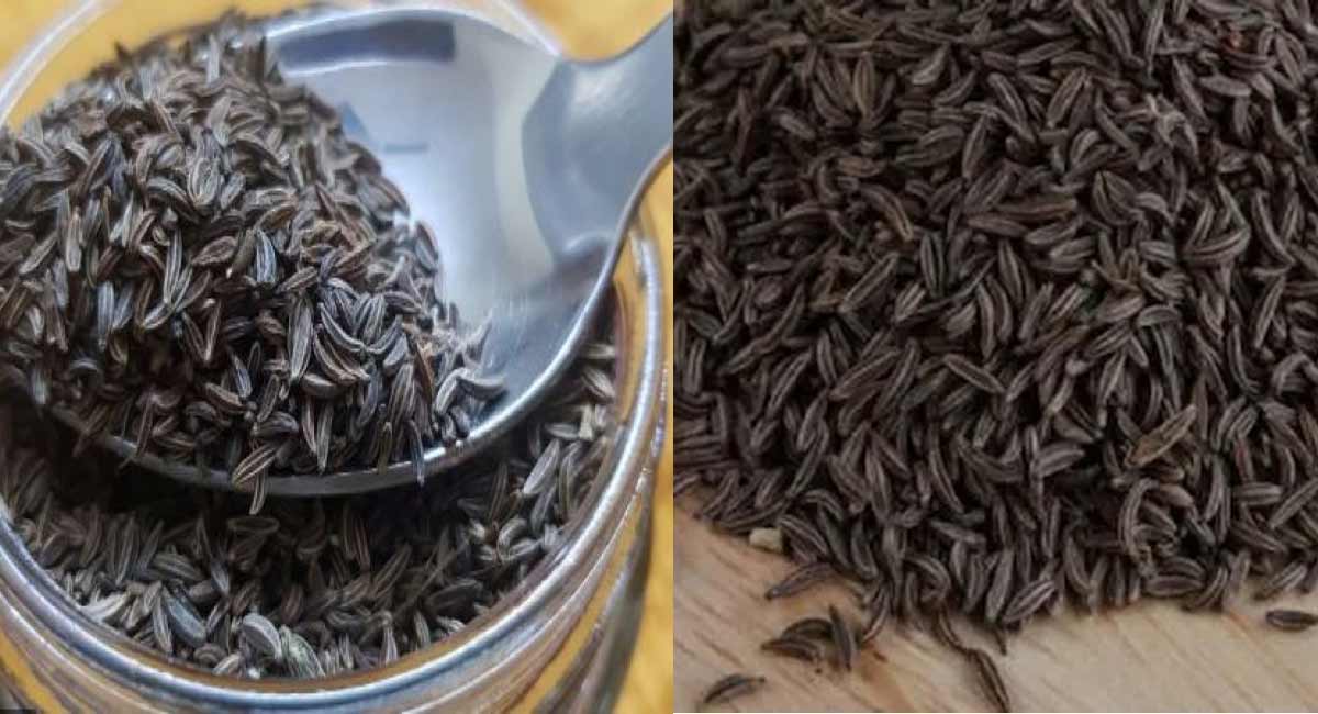 Black Cumin : నల్ల జీలకర్రతో ఆరోగ్య ప్రయోజనాలు.. ఇవి తెలిస్తే మీరు ఆశ్చర్యపోతారు. health benefits of Black Cumin