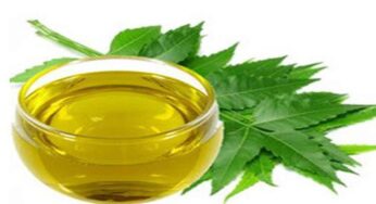 Health Tips : వేపాకు టీ ఇలా తాగితే చాలు.. సీజనల్ వ్యాధులకు గుడ్ బాయ్ చెప్పొచ్చు.