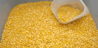 If these patients are taking fenugreek, there is a definite threat