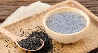  Sabja Seeds  : సబ్జా గింజలతో డయాబెటిస్ ను కంట్రోల్ చేయవచ్చా…? ఇది ఎలా అంటే..