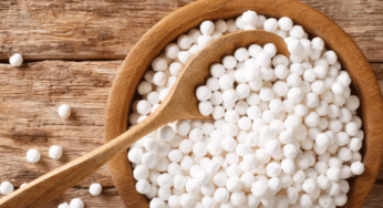 Sabudana Health Benefits : మానవ సత్తువ పెంచే సగ్గుబియ్యం పాయసం తాగినట్లయితే….