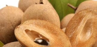 Eating Sapota can check many diseases