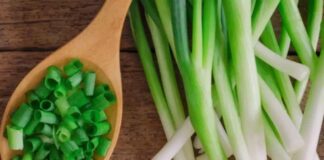 Health Benefits of Spring Onions