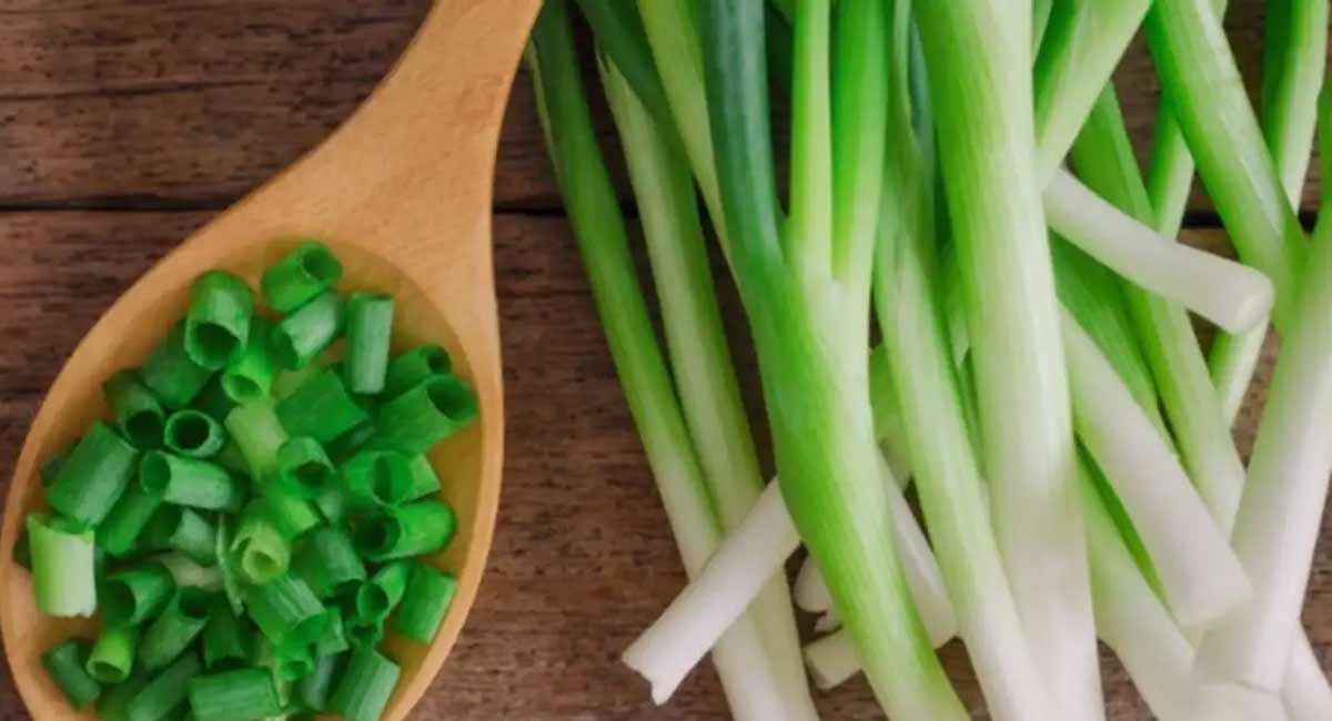 Spring Onions Benefits : ఉల్లికాడలను రోజు ఆహారంగా తీసుకుంటున్నారా... ఇవి ఆరోగ్యానికి ఏ విధంగా ఉపయోగపడతాయో తెలుసా...? Health Benefits of Spring Onions