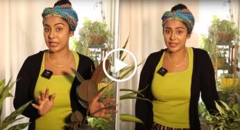 Sri Reddy : మొక్కలు ఎందుకు బొక్క అన్నవారికి గట్టిగా వార్నింగ్ ఇచ్చిన శ్రీరెడ్డి.