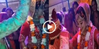 viral video bride dance with bride groom all aresuddenly shoked