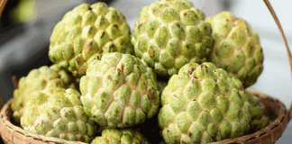 Here are the things that everyone who takes Custard Apple should know