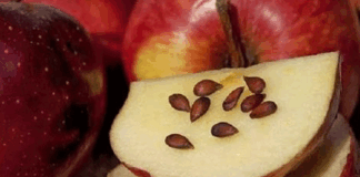 Don't eat these fruits even if you forget the danger of the seeds. If lives are in danger