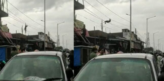 up man hangs to power cables video viral