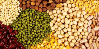 Health Tips If you are taking these pulses at night then check them immediately.