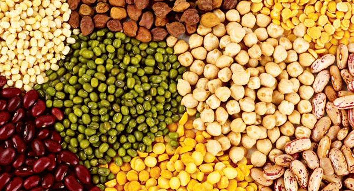 Health Tips : రాత్రిపూట ఈ పప్పుల్ని తీసుకుంటున్నారా... అయితే వెంటనే వీటికి చెక్ పెట్టండి... Health Tips If you are taking these pulses at night then check them immediately.
