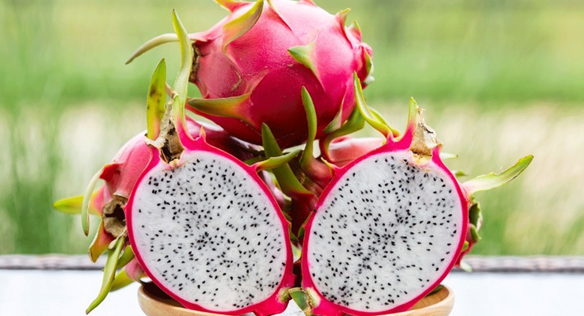 Health Tips : ఈ ఫ్రూట్ ఒక్కటి చాలు... సర్వ రోగాలకి చెక్... dragan fruit is enough to check all diseases.