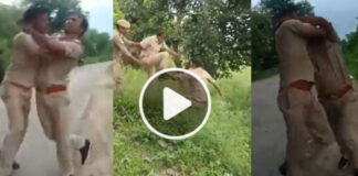 uttar pradesh police officers drunken fight video viral