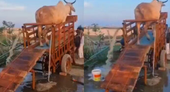 Viral Video : ఇది కదా రైతు క్రియేటివిటీ అంటే.. ఎద్దులతో కరెంట్ ను ఎలా ఉత్పత్తి చేస్తున్నారో తెలిస్తే దిమ్మతిరుగుతుంది