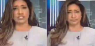 tv anchor swallows fly on tv live video viral