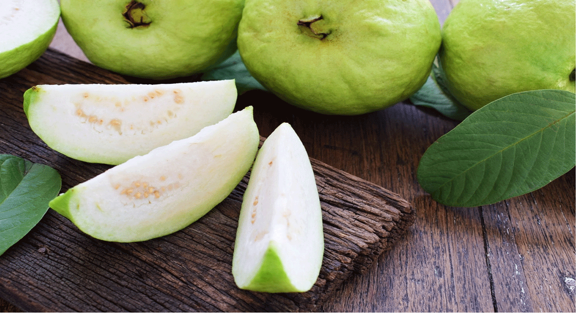 Guava Side Effects : జామ పండు ని ఎక్కువగా తింటున్నారా...? అయితే తస్మాత్ జాగ్రత్త.... Are you eating a lot of guava fruits.. But beware of Tasmat