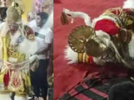 man dies at ganesh mandal while performing as hanuman video viral