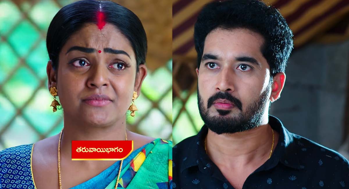 Karthika Deepam 4 September Today Episode : నా భార్య ని చంపాలని చూస్తున్నావా అంటున్న కార్తీక్.... బాధపడుతున్న దీప... Karthika Deepam 4 September Today Episode