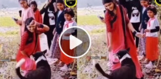 young girl dance infront of dog video viral