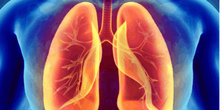 It is enough to take these.. the health of the lungs will improve