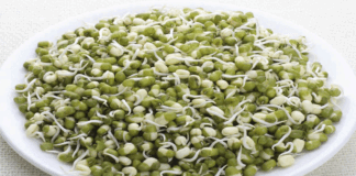 moong sprouts are rich in nutrients and have great health benefits