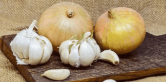 Do you know why garlic cat should not be taken during Navratri