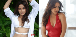 Neha Sharma not come back in tollywood because of this reason