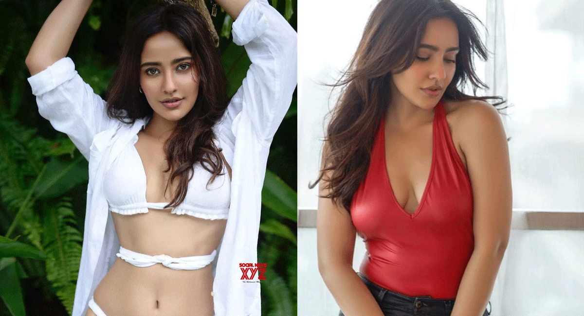 Neha Sharma : నేహా శర్మకి అదృష్టం ఉంటే ఆ ఫ్యామిలీకి కోడలు అయ్యేదేనేమో...! Neha Sharma not come back in tollywood because of this reason