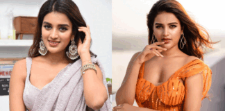 Heroin nidhi agarwal don't care about her cine life