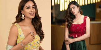 Nivetha Pethuraj relationship with young hero in tollywood