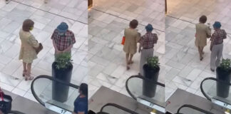 elder couple steals plant in mall video viral