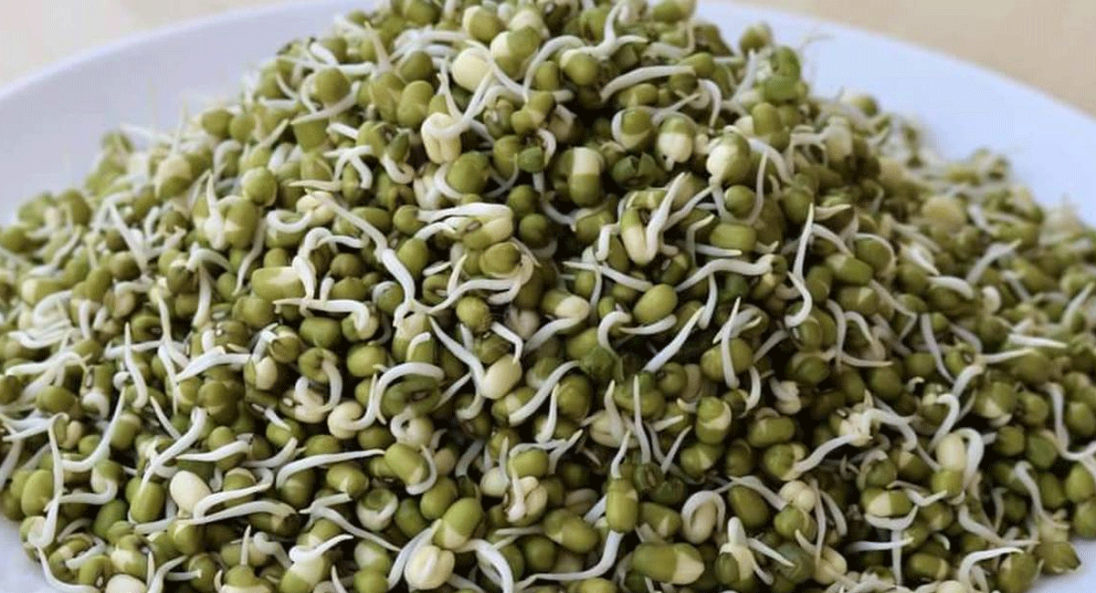 Sprouts Health Benefits : ఈ మూడు రకాల స్ప్రౌట్స్ తీ న్నారంటే...రుచికి రుచి, ఆరోగ్యానికి ఆరోగ్యం. Eating these three types of sprouts means health for taste and health