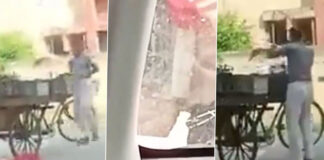 vendor urinates on vegetables before selling them video viral
