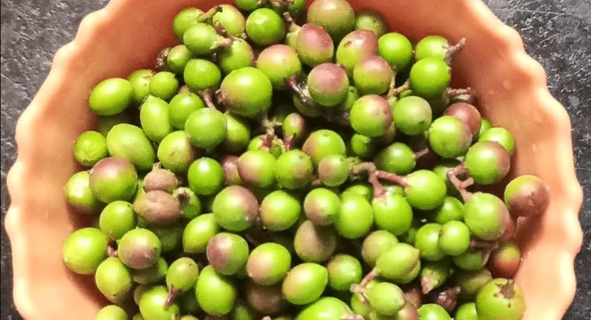 Health Benefits : మీ బాడీలో కొవ్వును కరిగించి రక్తంలో చక్కెర స్థాయిలను నియంత్రించే వాక్కాయ Eggplant that melts fat in your body and lowers blood sugar levels