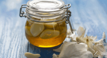 Health Tips : వెల్లుల్లిని తేనెలో కలుపుకొని పరిగడుపున తీసుకుంటే… ఈ 4 సమస్యలతో పాటు బరువు కూడా తగ్గుతారు…