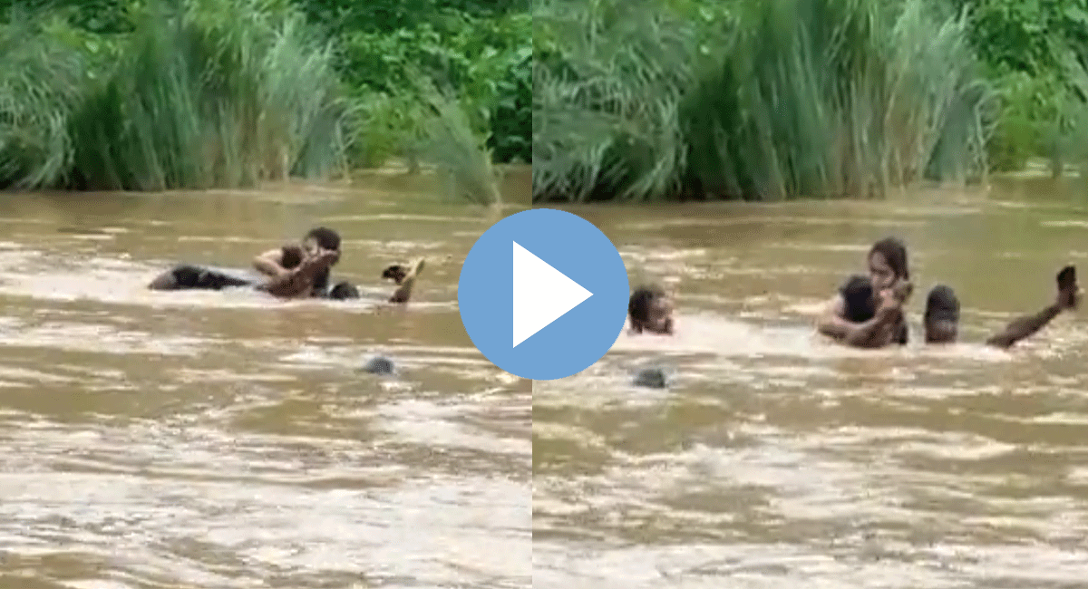 Viral Video : పరీక్ష రాయడం కోసం పొంగిపొర్లుతున్న నదిని దాటిన విజయనగరం యువతి... వైరల్ అవుతున్న వీడియో... young girl from Vizianagaram crossed a flooded river to write an exam