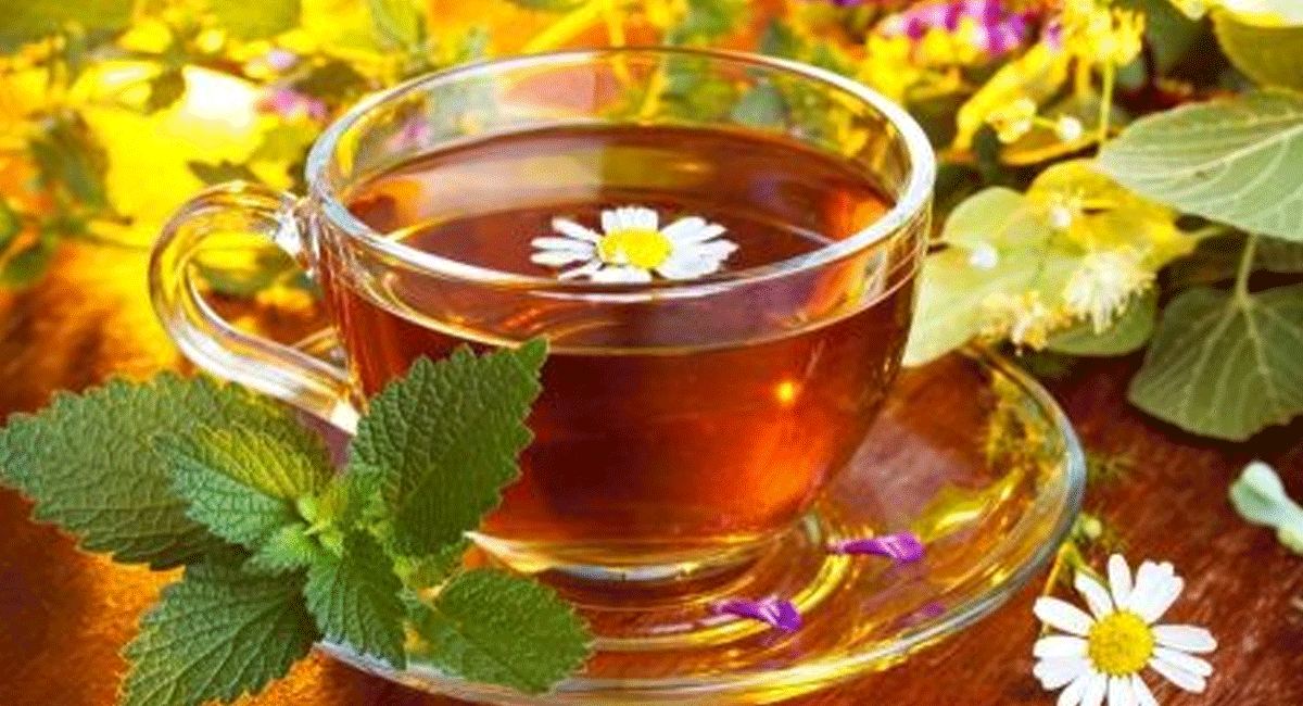 Herbal Tea : ఈ హెర్బల్ టీ ని ఒక్కసారి తాగారంటే... మానసిక సమస్యతో పాటు ఒత్తిడి కూడా దూరం అవుతుందట. If you drink this herbal tea once, you will get rid of stress along with mental problems