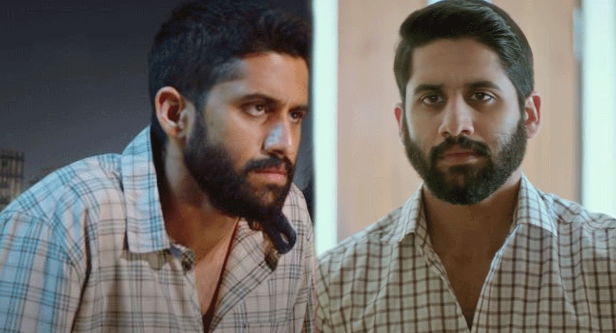 Naga Chaitanya : ఆమెకు చేసిన పాపమే అక్కినేని ఫ్యామిలీకి శాపంగా మారిందా... అందుకే నాగచైతన్య పరిస్థితి ఇలా ఉందా.... naga chaithanya present situation changed due to her diverse