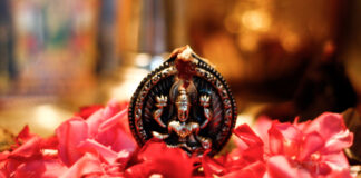 if-you-see-these-things-in-your-dream-it-is-like-the-grace-of-goddess-lakshmi-is-on-you