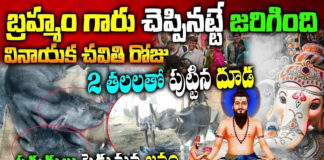 calf-born-with-2-heads-in-balayapalli-village-cuddapah-district-on-ganesh-chaturthi