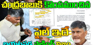 This is the file bought by Chandrababu...what is in it...