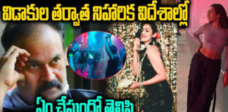 niharika-konidela-enjoy-in-us-hotel-latest-photos-vairal
