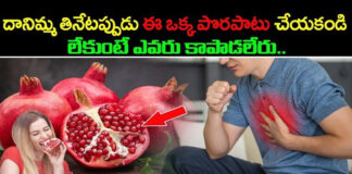 these-are-the-things-that-everyone-should-know-while-eating-pomegranate