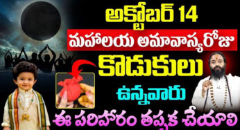 Mahalaya Amavasya : అక్టోబర్ 14న మహాలయ అమావాస్య .. కొడుకులు ఉన్నవారు ఈ పరిహారాన్ని తప్పక పాటించాలి..