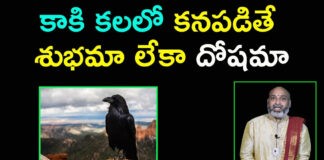 Do you know what happens if you see a crow in a dream...?everyone should know the truth...